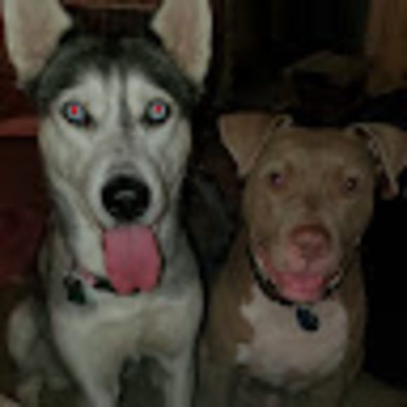 Meet your Posher, Adrian - Picture 1 of 1